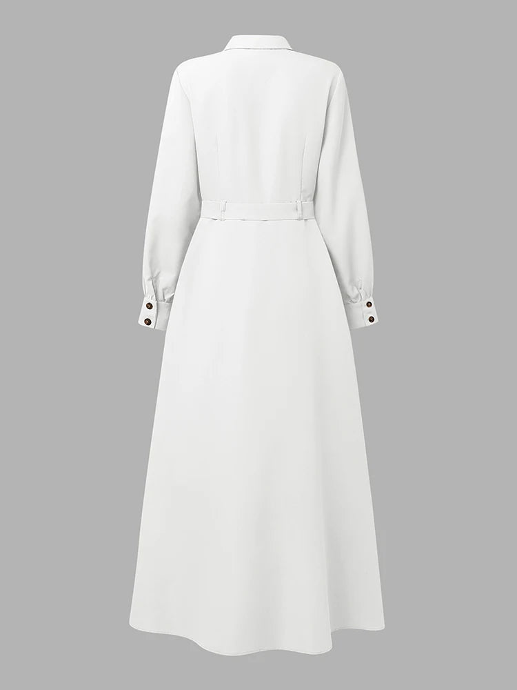 Elegant Women's Shirtdress